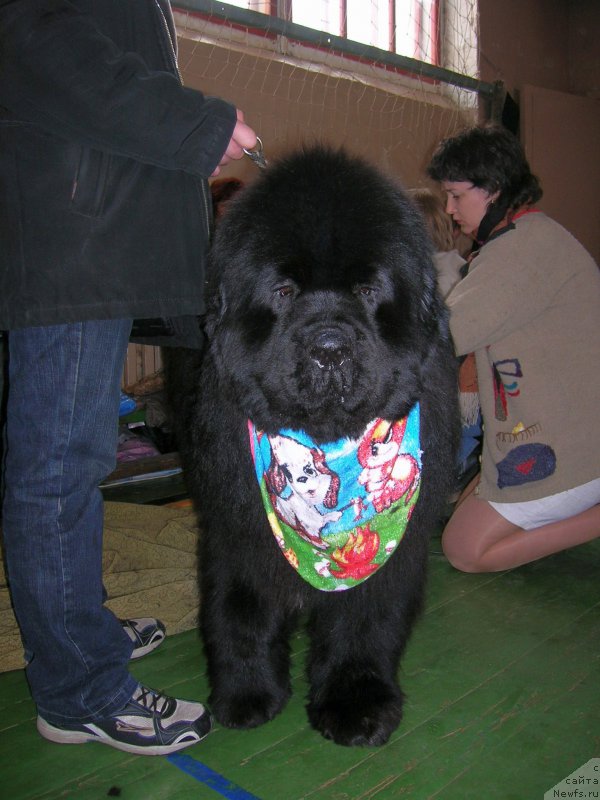 Фотография № 180655