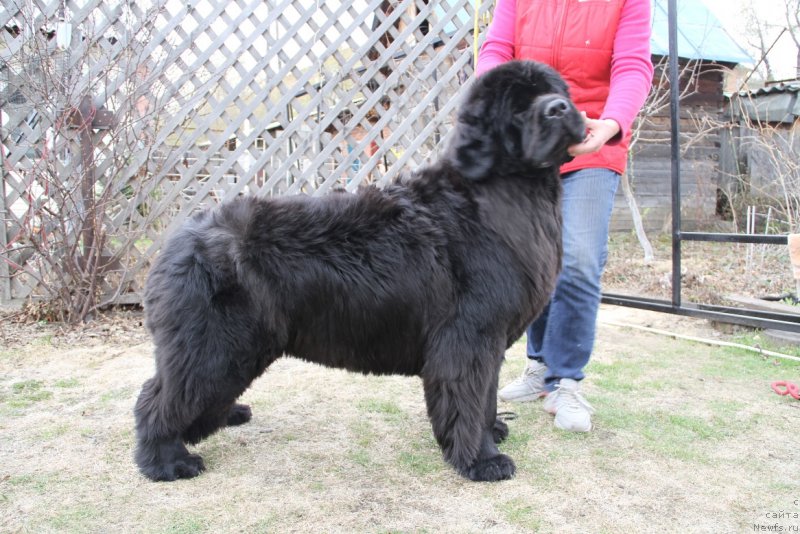 Фотография № 180657