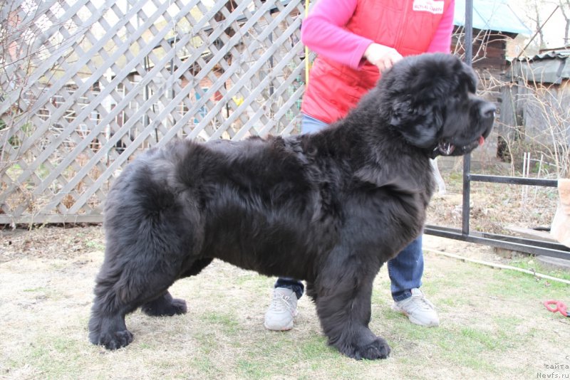 Фотография № 180658