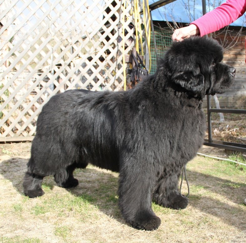 Фотография № 180661