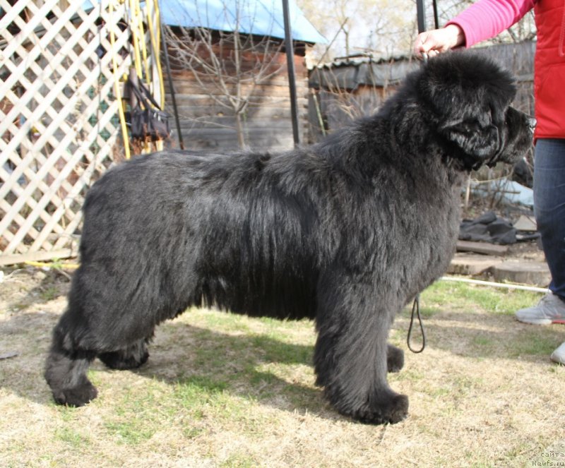 Фотография № 180662