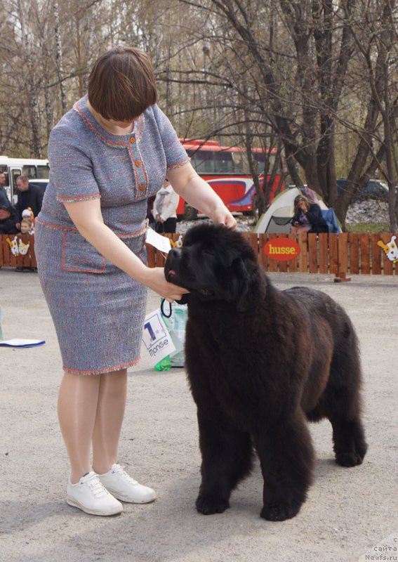 Фотография № 180669