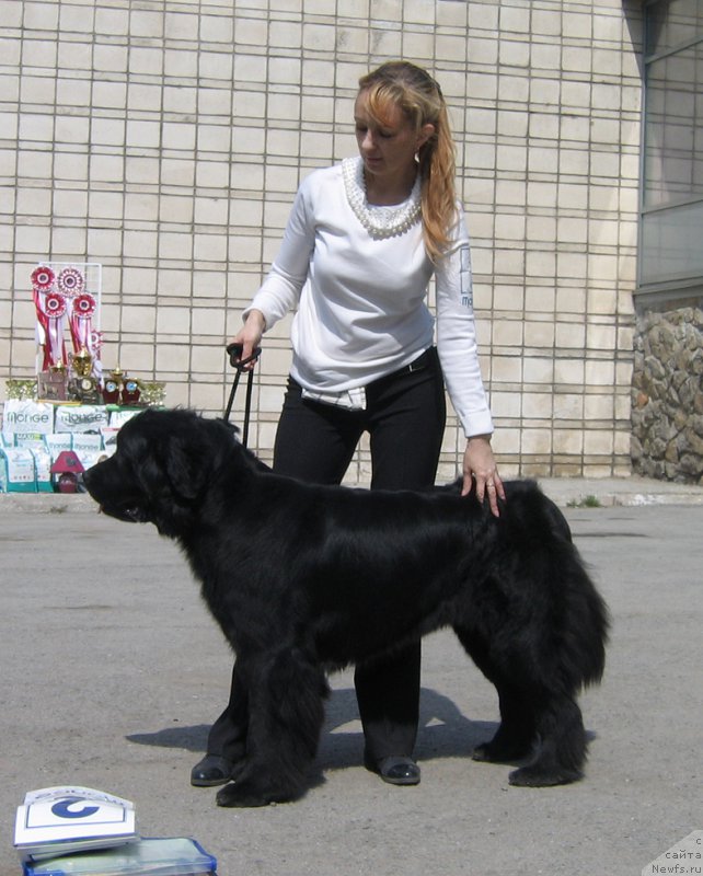 Фотография № 180672