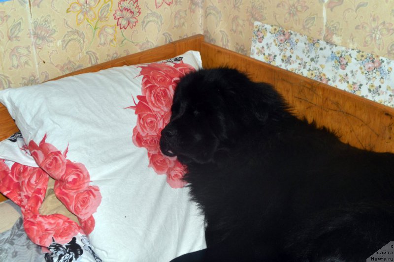 Фотография № 180674