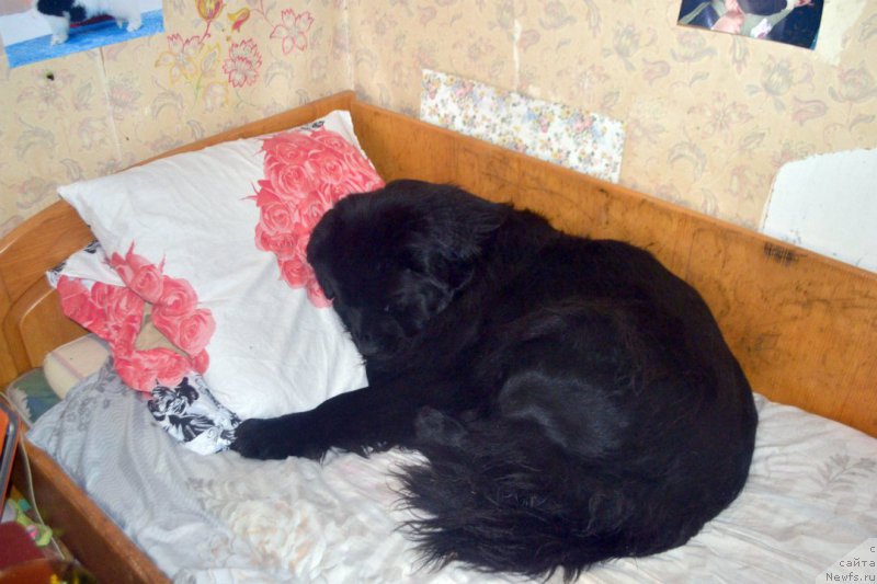 Фотография № 180675