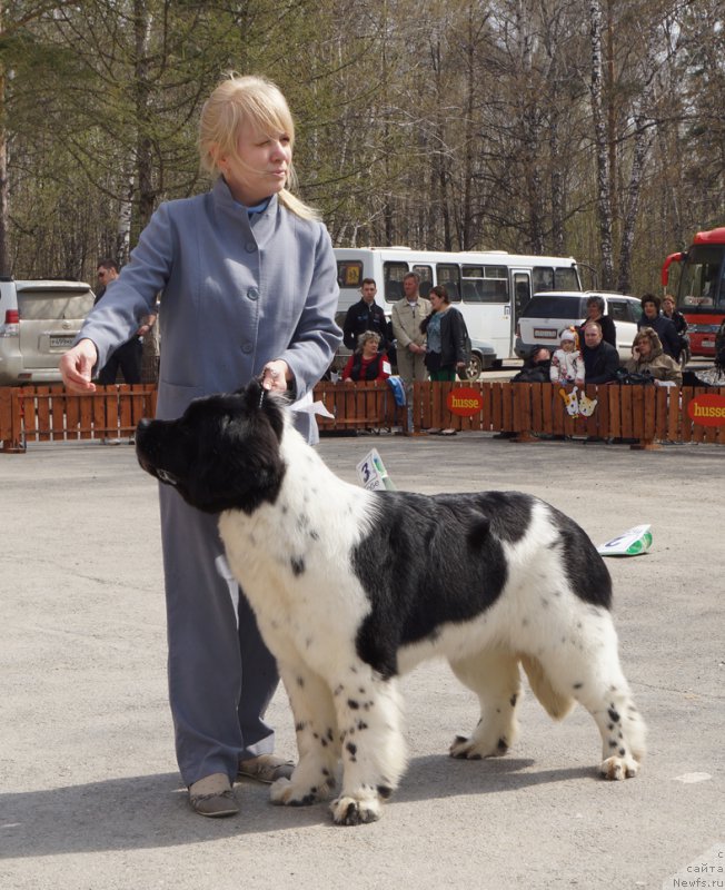 Фотография № 180677