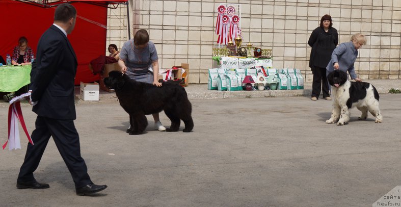 Фотография № 180680