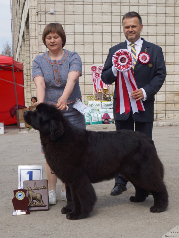 Фотография № 180682