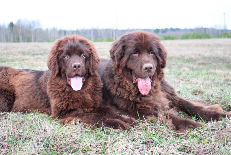 Фотография № 180683