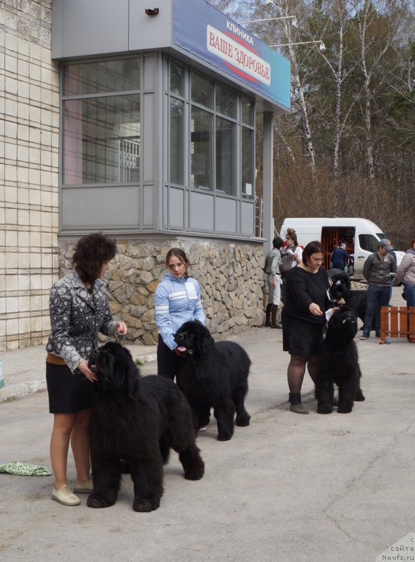 Фотография № 180684