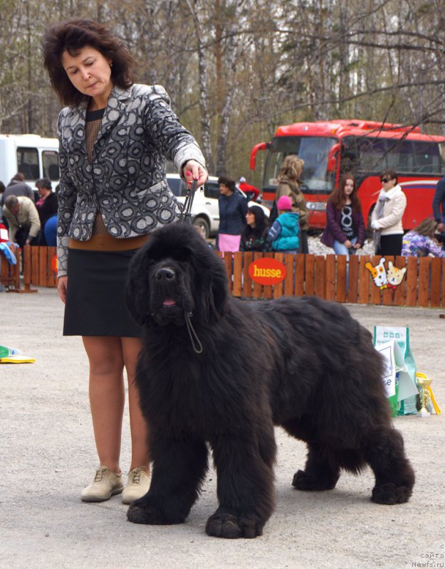 Фотография № 180686