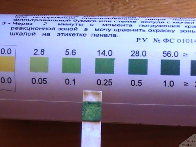 Микроскоп для определения овуляции по слюне. Тест полоски для определения овуляции у собак. Тест на овуляцию микроскоп. Эструс у собак цитология. Стадии цикла у собак.