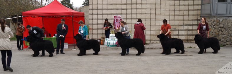 Фотография № 180701