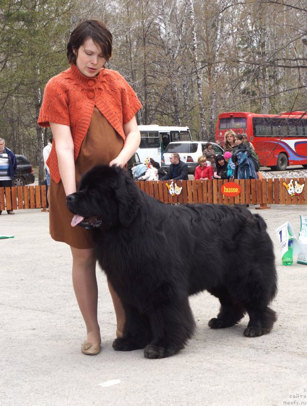 Фотография № 180707