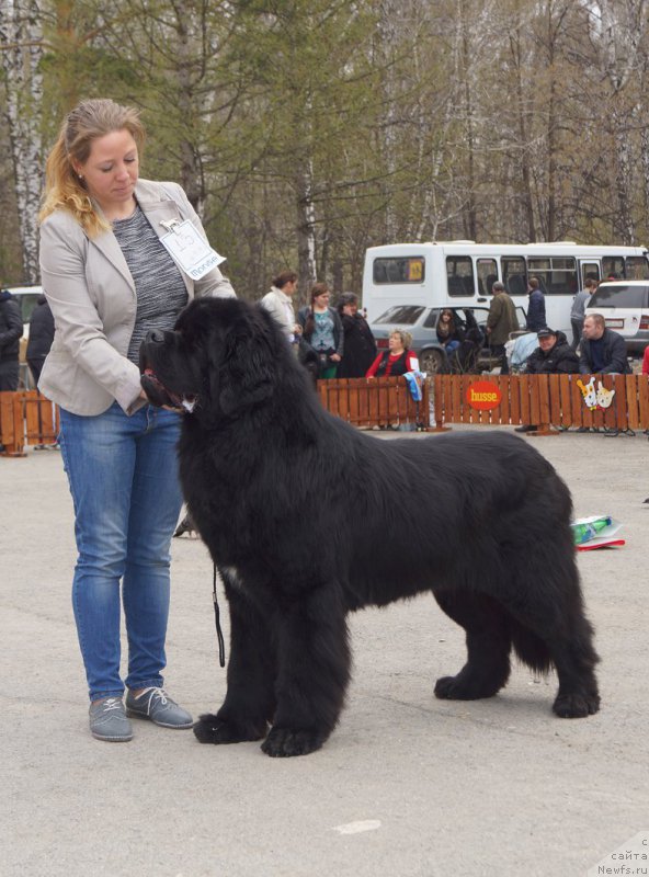 Фотография № 180709