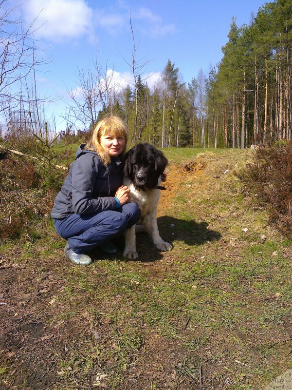 Фотография № 180713