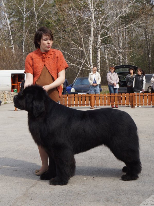 Фотография № 180726