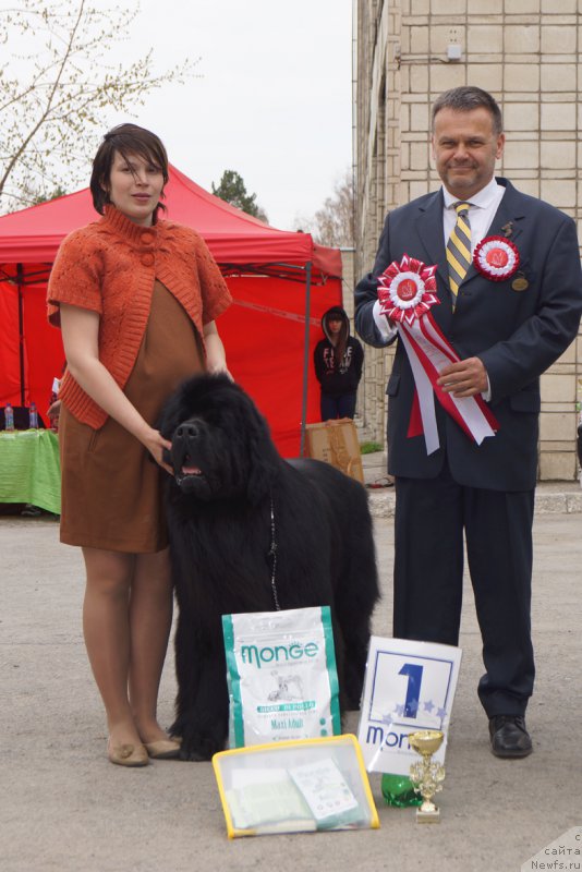 Фотография № 180727