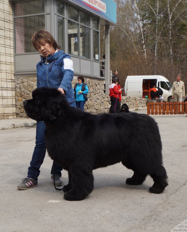 Фотография № 180732