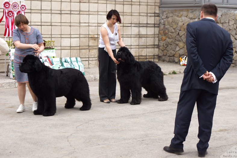 Фотография № 180743