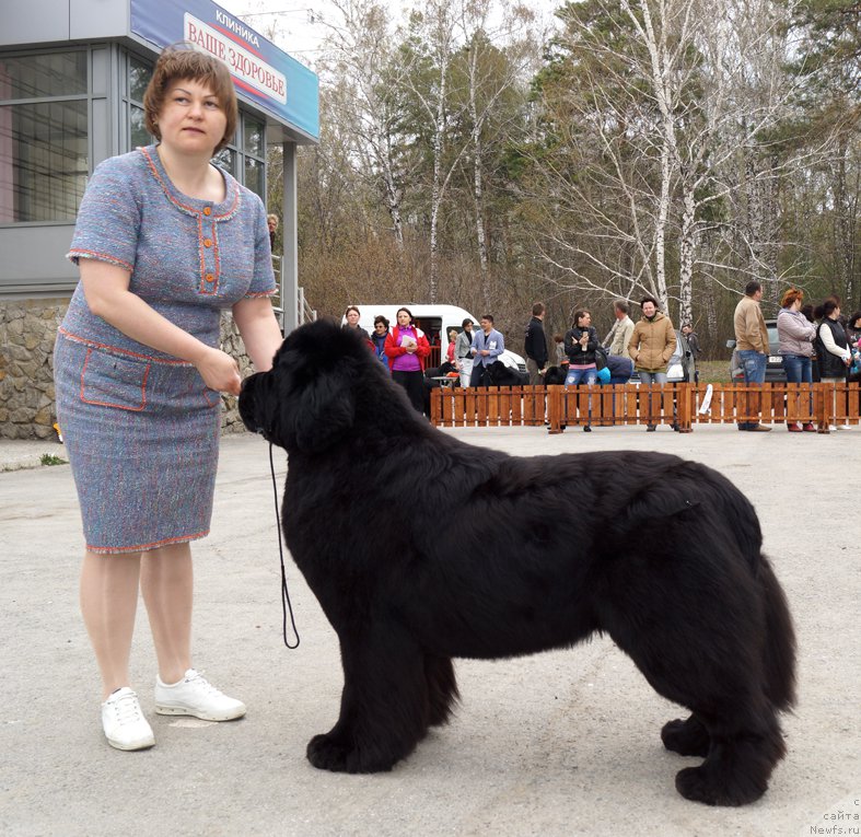 Фотография № 180744