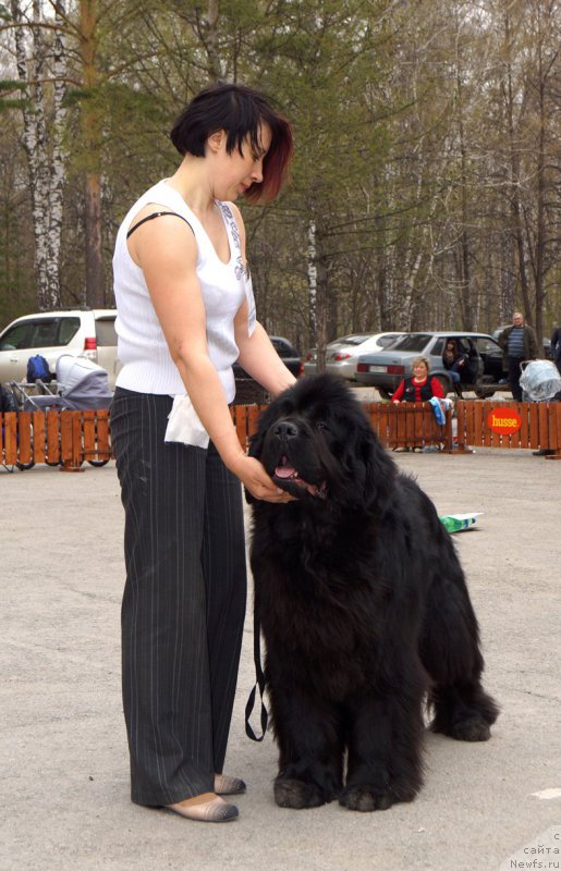 Фотография № 180747