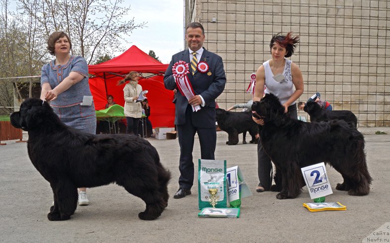 Фотография № 180748