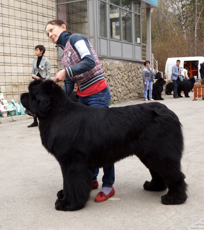 Фотография № 180749