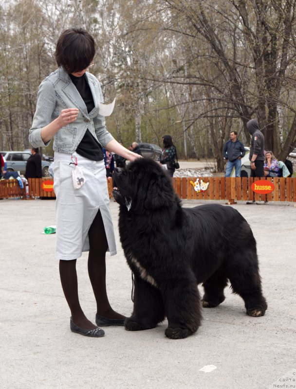 Фотография № 180751