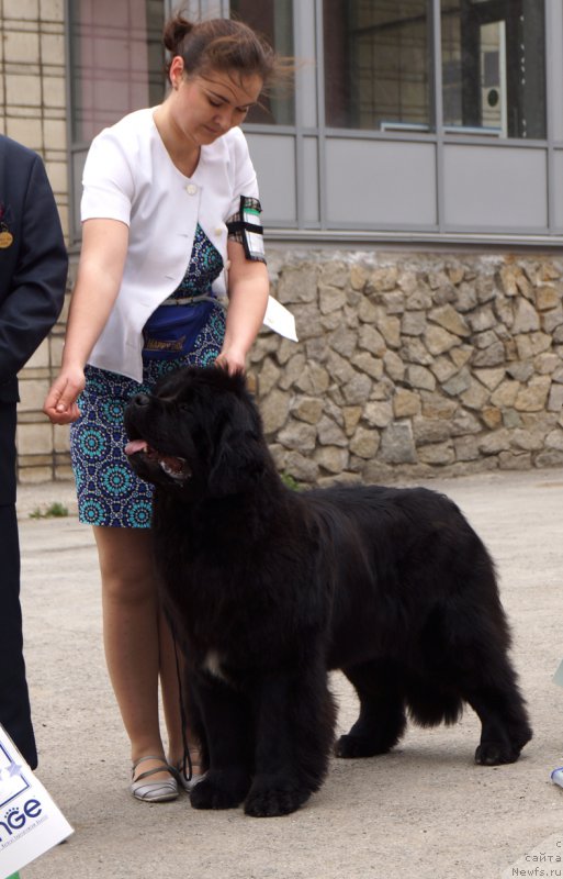 Фотография № 180756