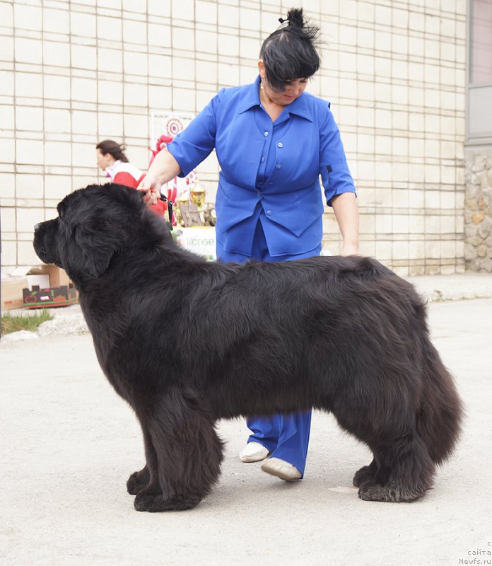 Фотография № 180757