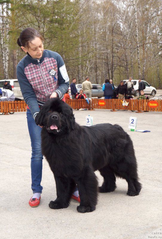 Фотография № 180758