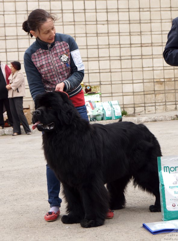 Фотография № 180759