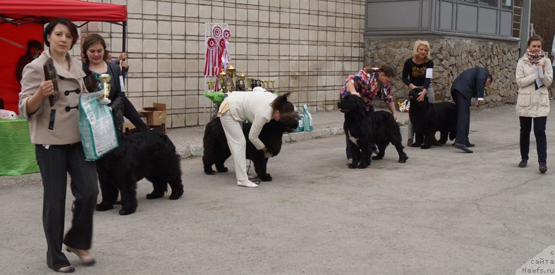 Фотография № 180761