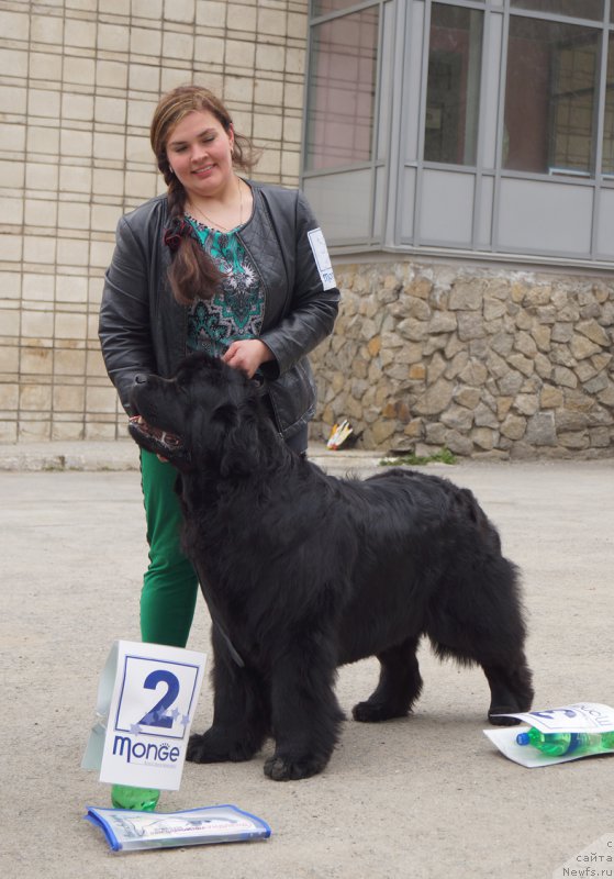 Фотография № 180763