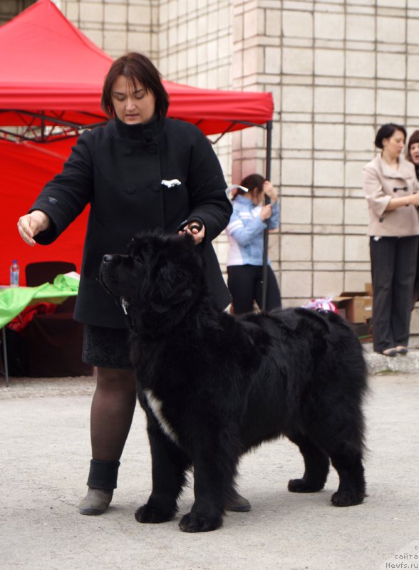 Фотография № 180766