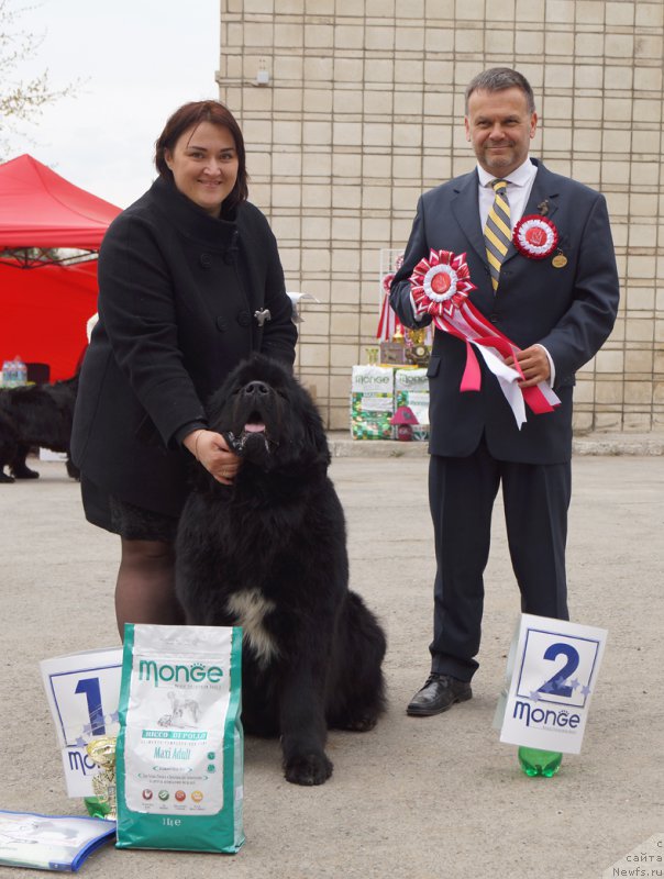 Фотография № 180768