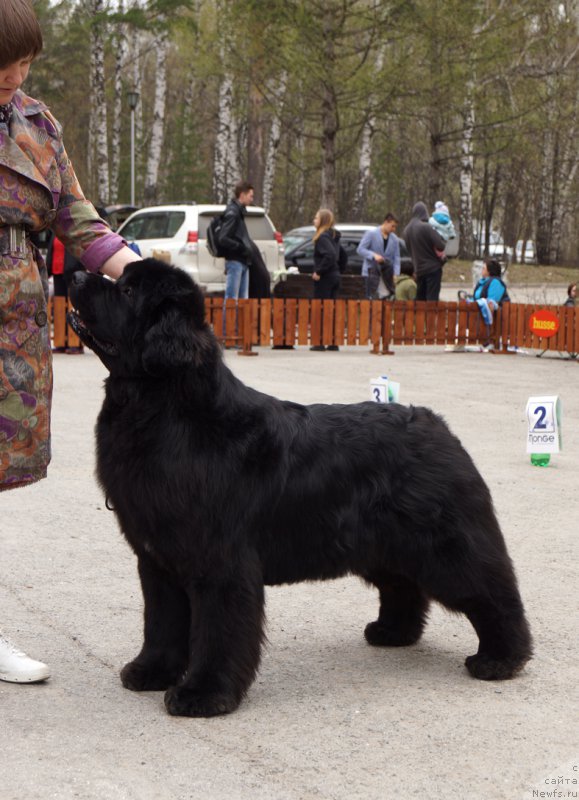 Фотография № 180772