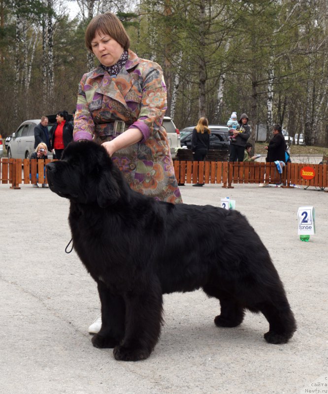 Фотография № 180773