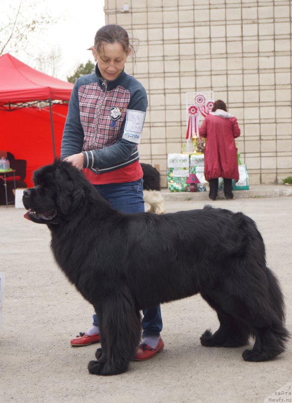 Фотография № 180776