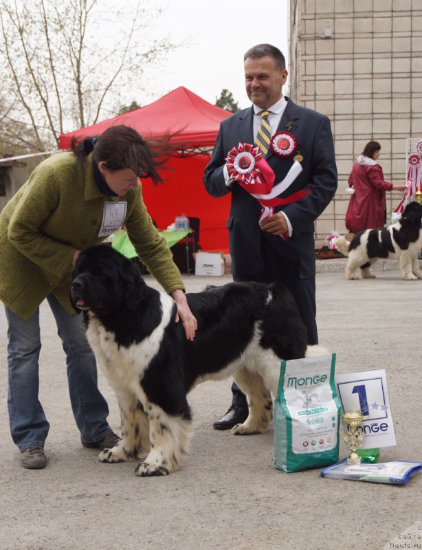 Фотография № 180778