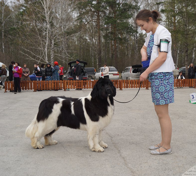 Фотография № 180779