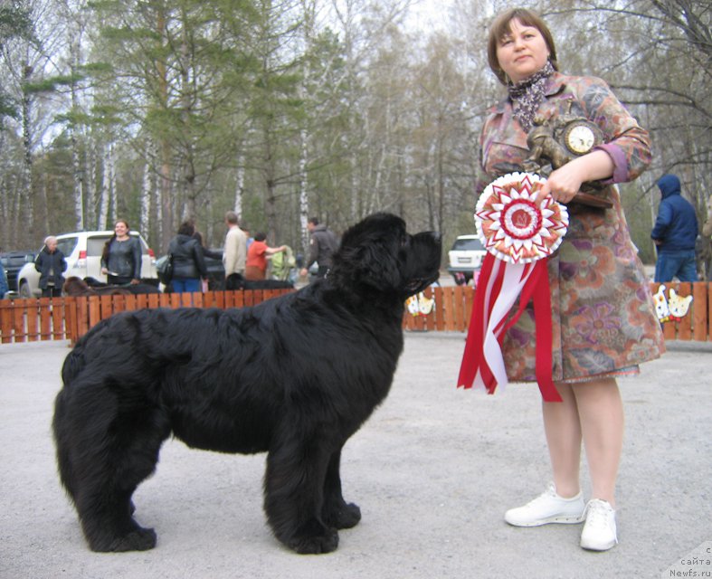 Фотография № 180789