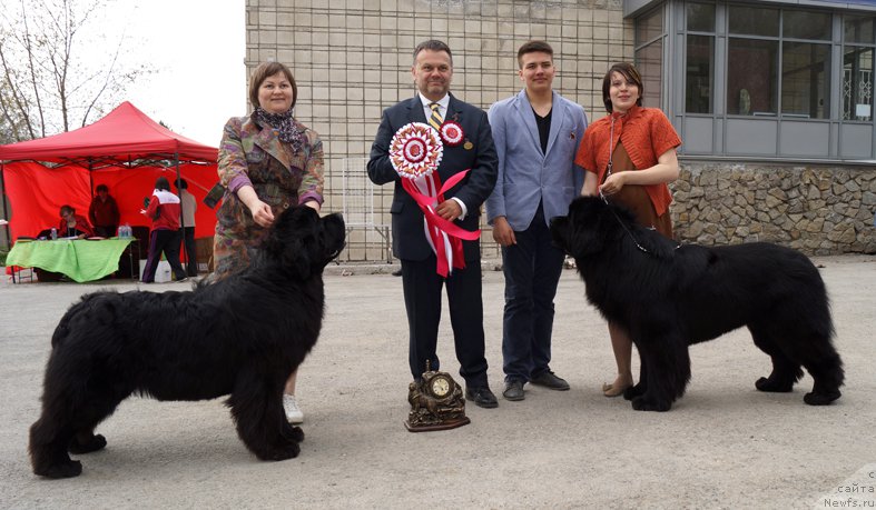 Фотография № 180791