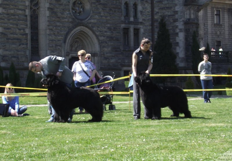 Фотография № 180795