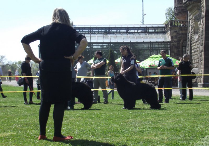 Фотография № 180796