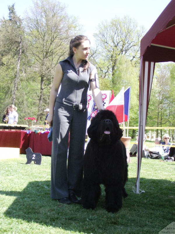 Фотография № 180797