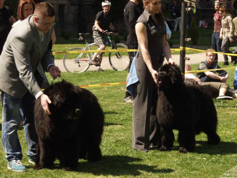 Фотография № 180798