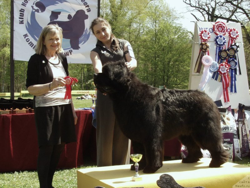 Фотография № 180799