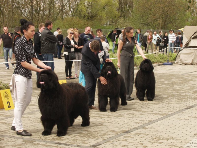 Фотография № 180801